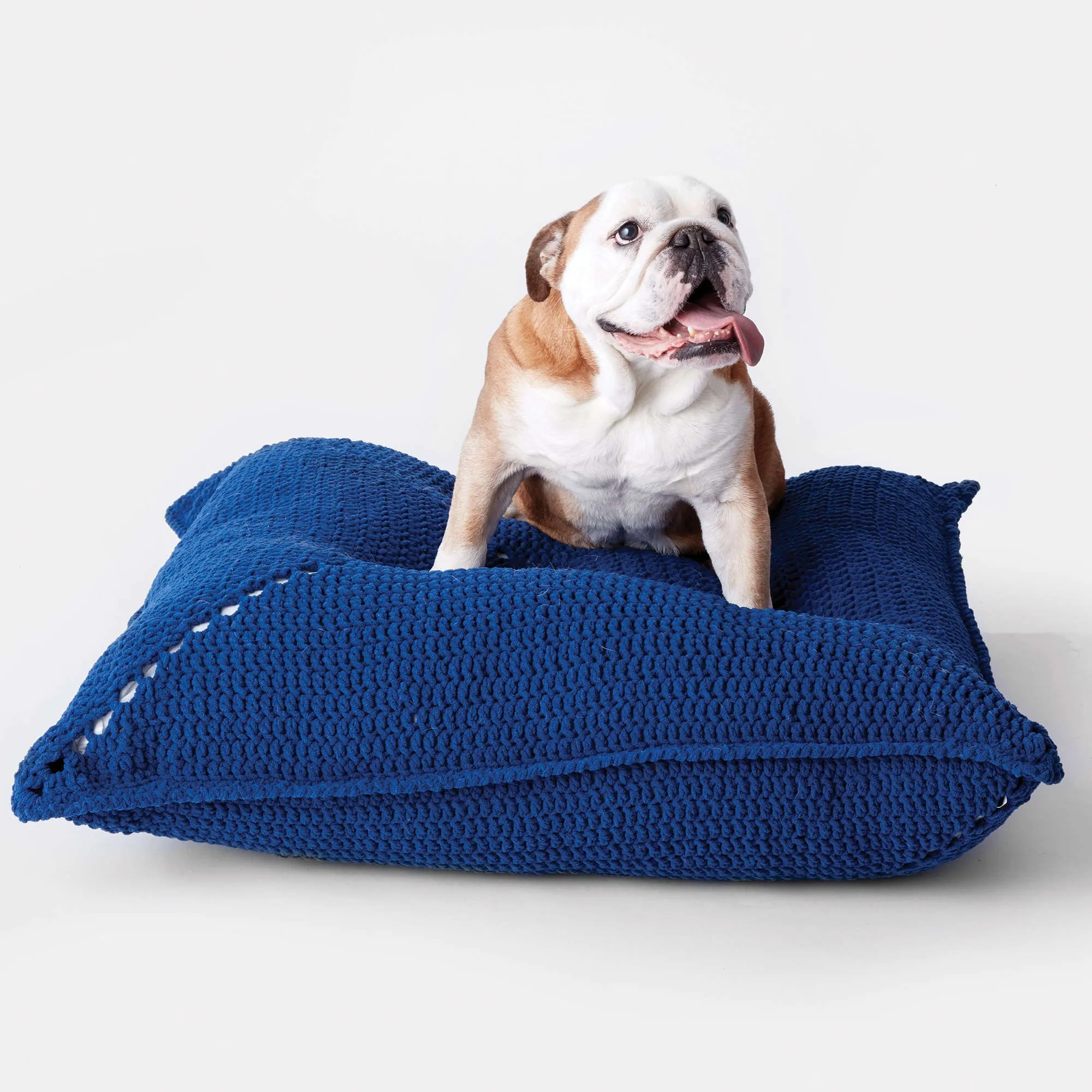 Bernat Easy Crochet Pet Bed