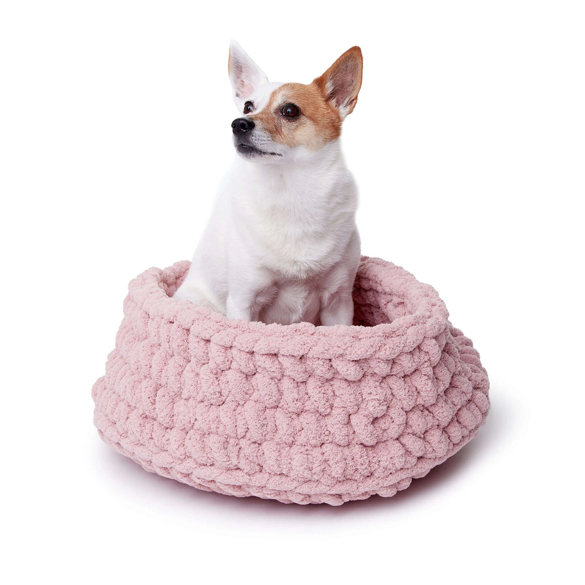 Bernat "Big" Crochet Pet Bed