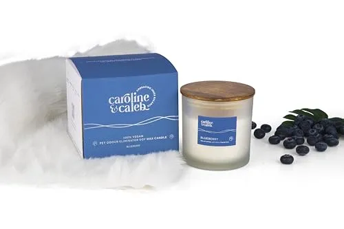 Blueberry Candle by Caroline and Caleb Long Lasting| Ideal for Home Décor, Aromatherapy & Gifting| | Pet Odour Eliminator | Candle for Home Decoration | Highly Scented Blueberry Candle