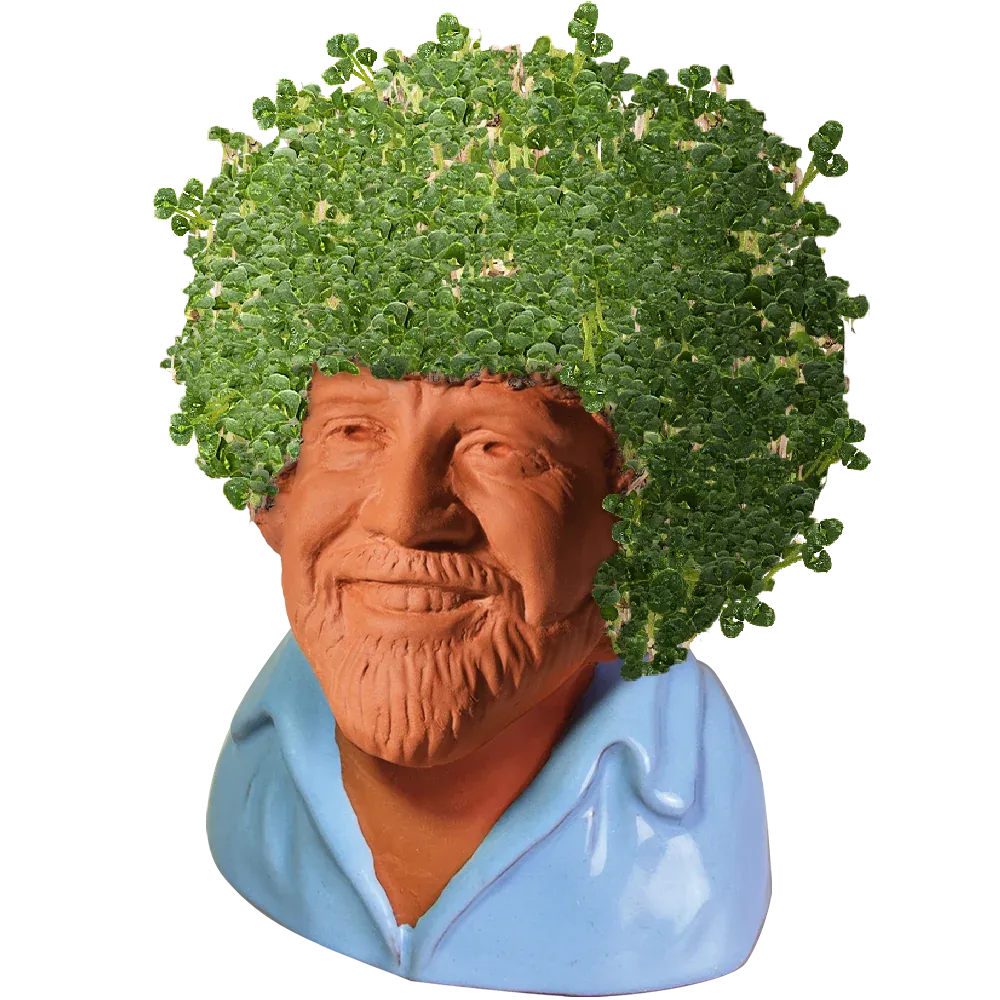 BOB ROSS CHIA PET (BLUE SHIRT)