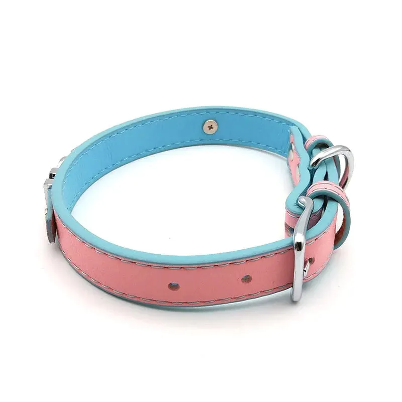 Bubblegum Trans Color Custom Collar