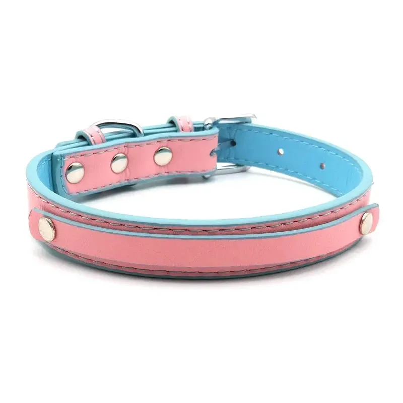 Bubblegum Trans Color Custom Collar