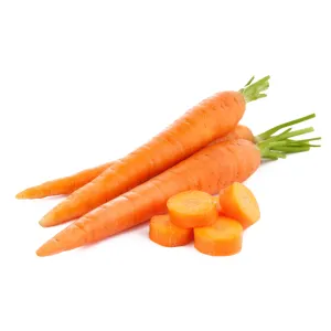 CARROT