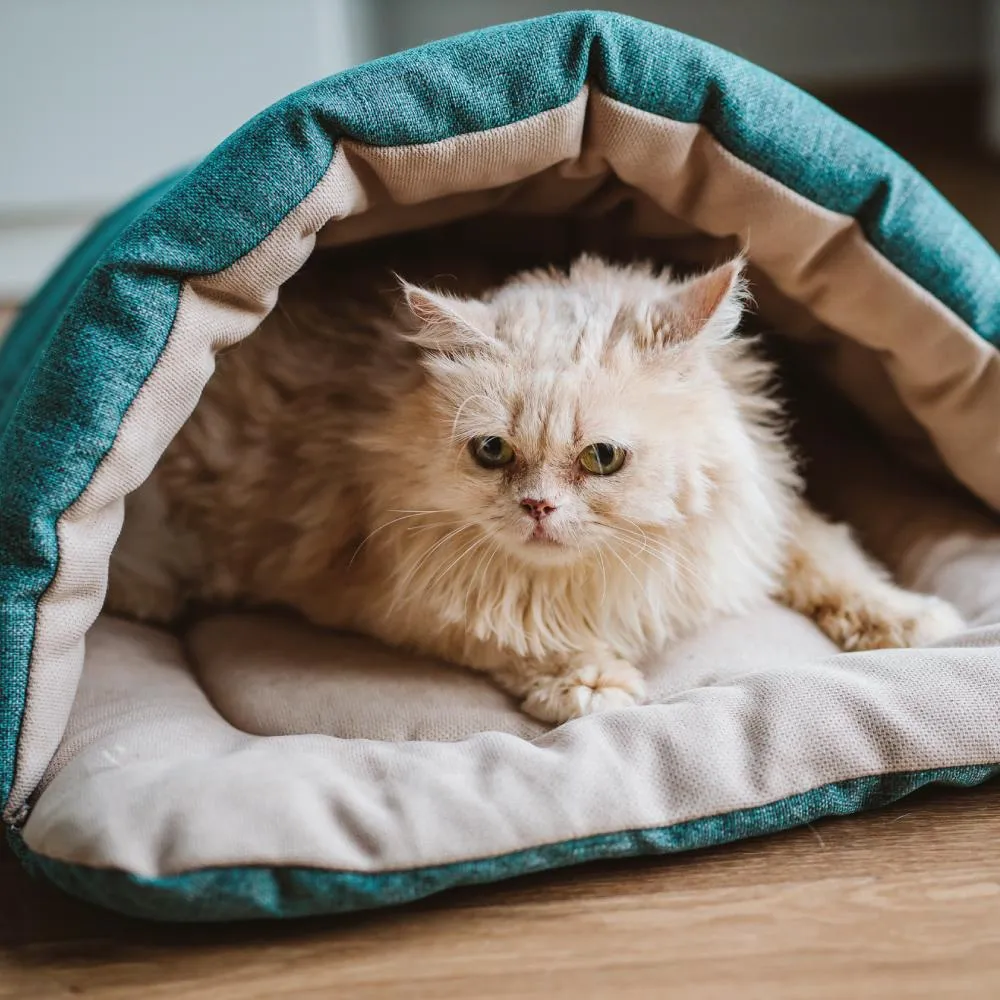 Cave-bed Pet Bed