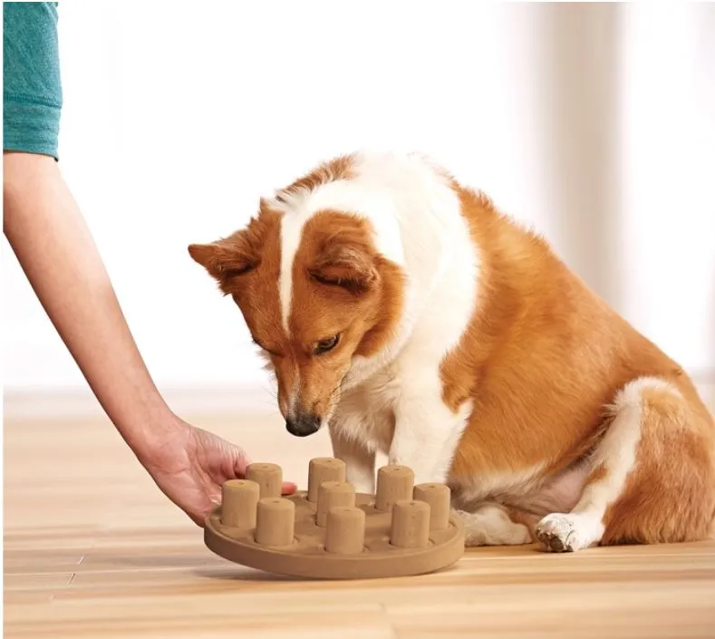 Dog Smart Composite Outward Hound Interactive Dog Toys IQ toys Outward Hound by Nina Ottosson