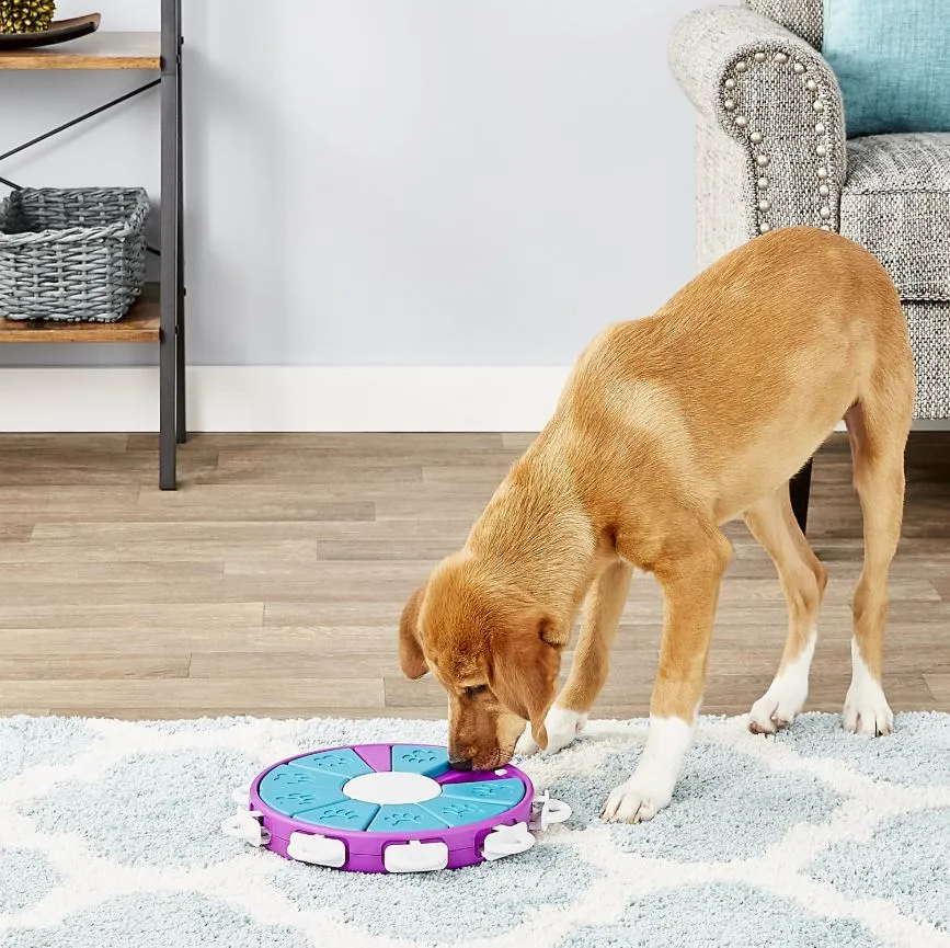 Dog Twister Slow Feeding Interactive Dog Toys