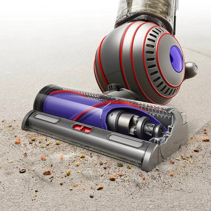 Dyson Ball Animal 3-Upright Vacuum Cleaner