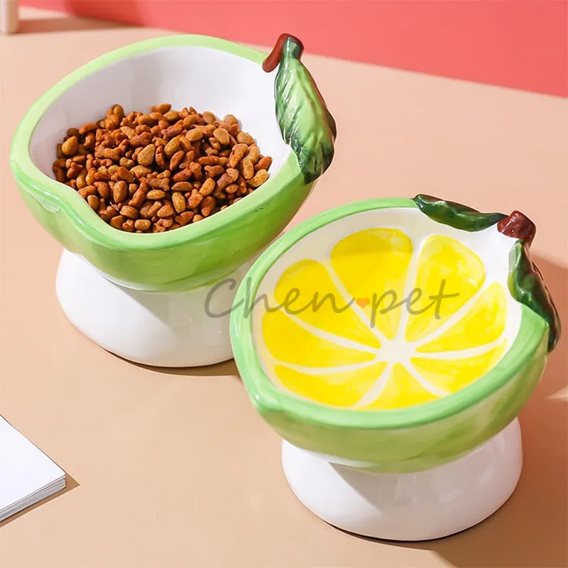 Elevated Ceramic Dog Bowl - Fruit Design