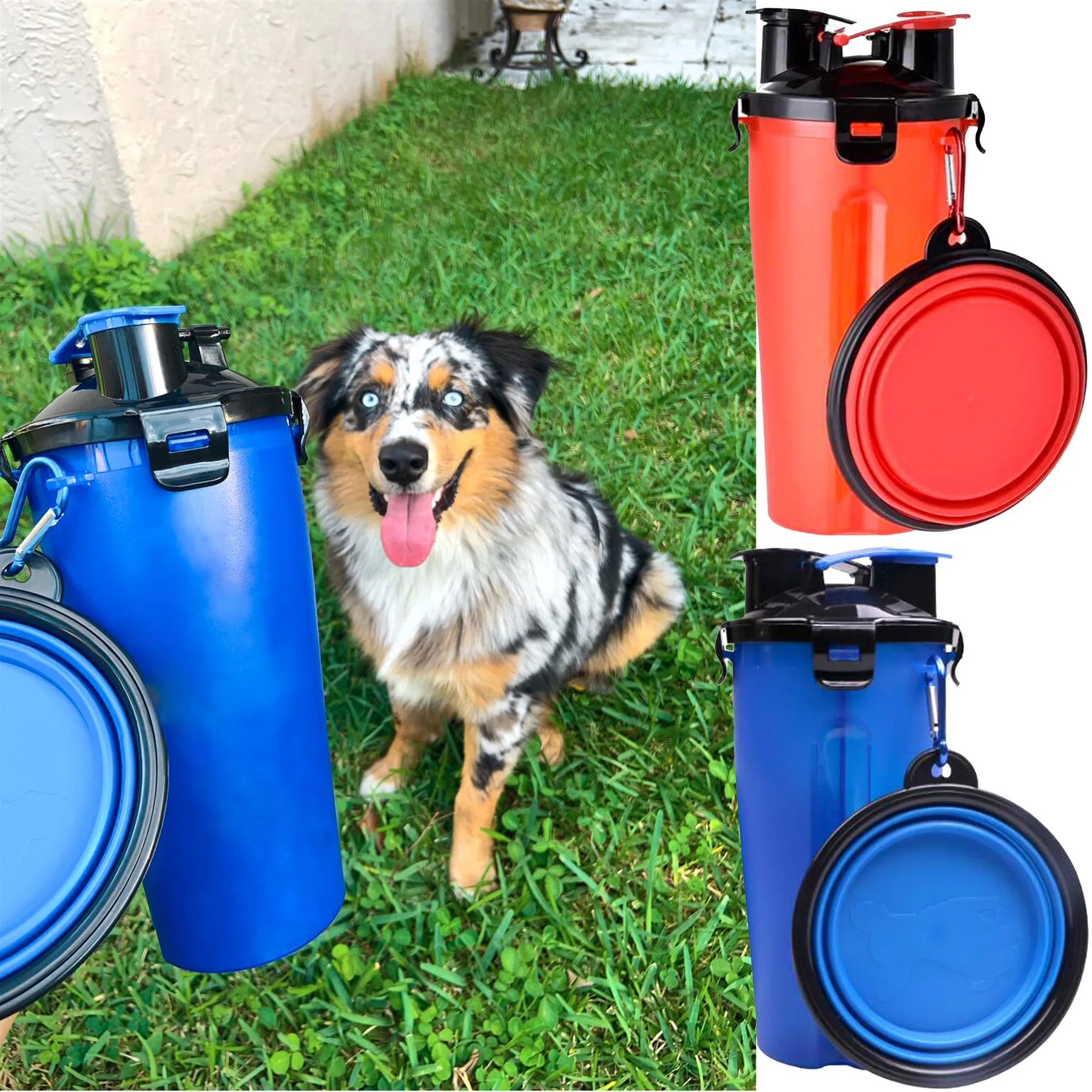 Foldable Bowl and Water Bottle Set for Pets