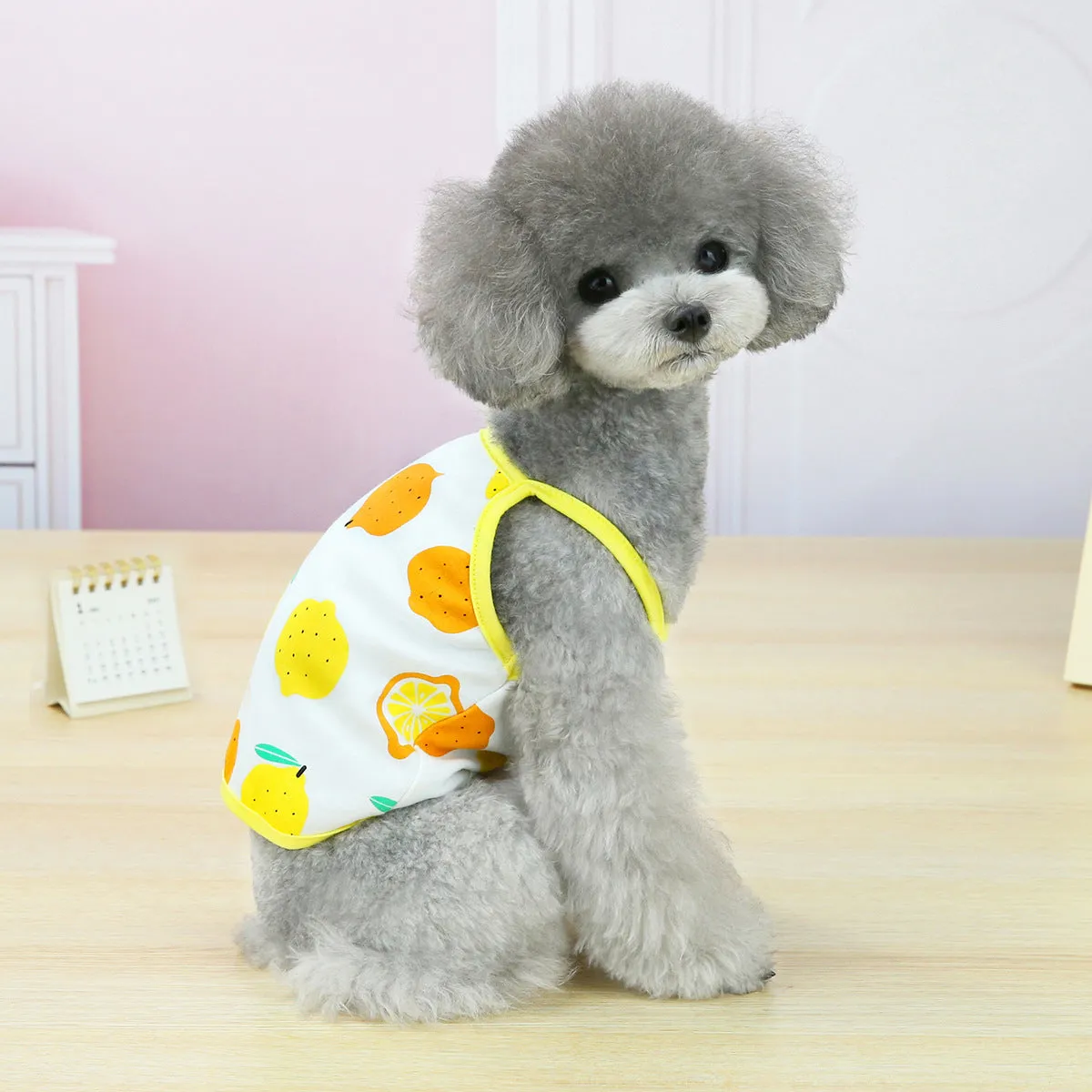 Fruit vest spring and summer pet clothing