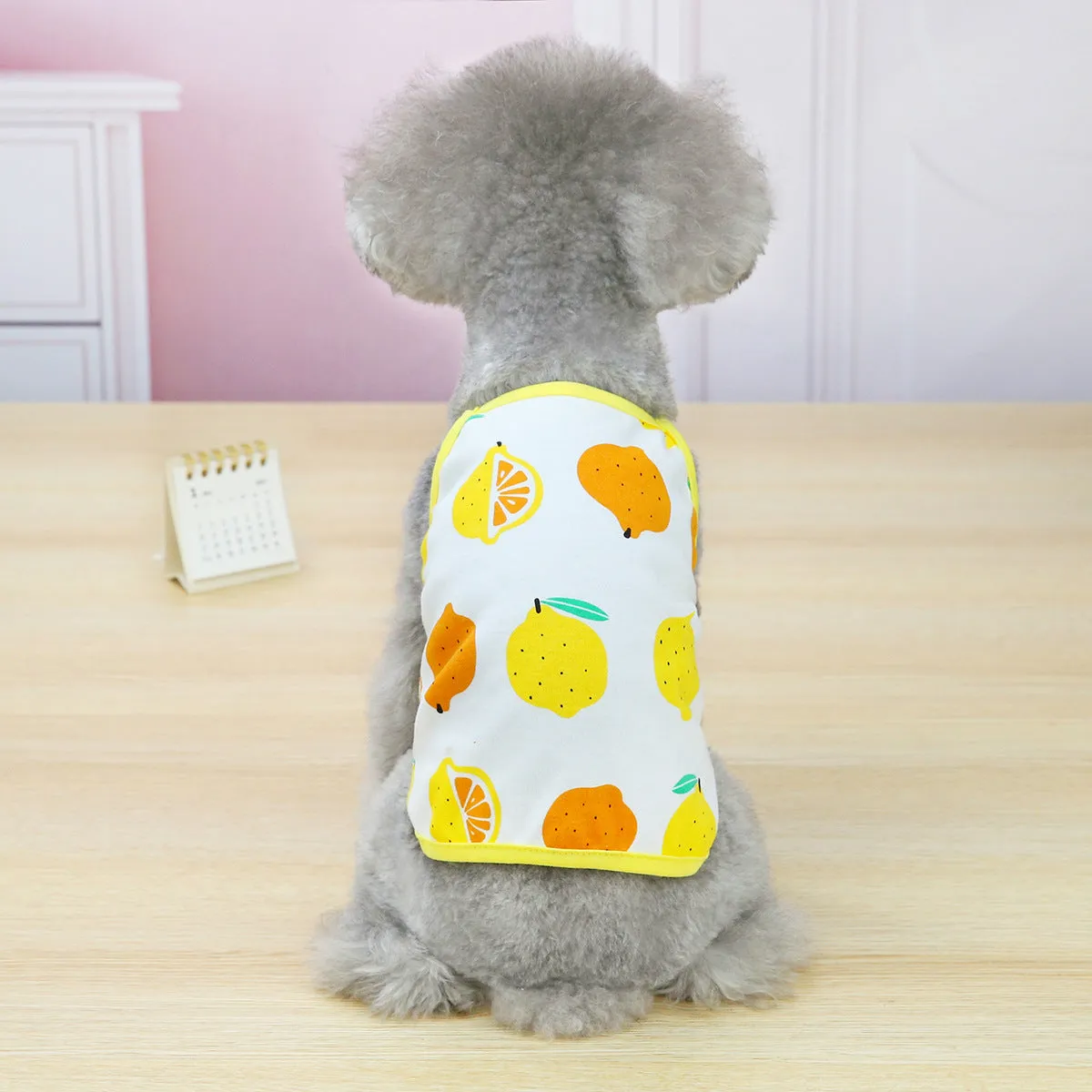 Fruit vest spring and summer pet clothing