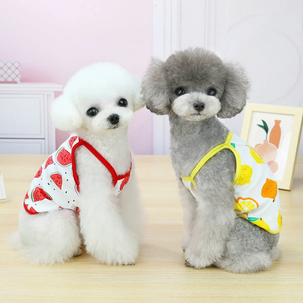 Fruit vest spring and summer pet clothing