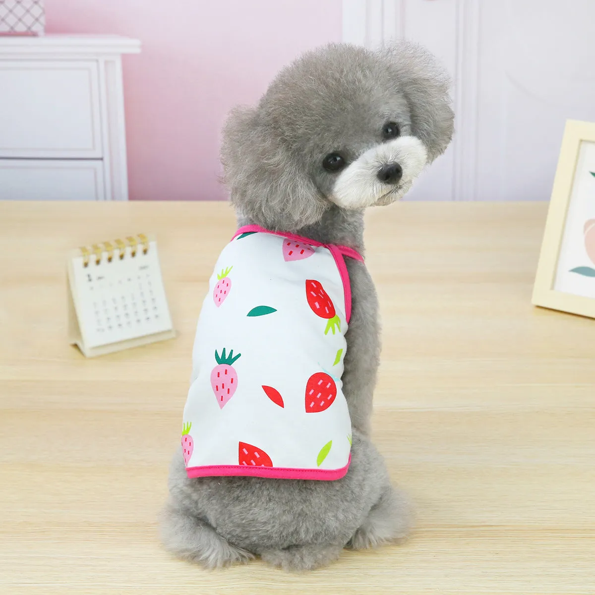 Fruit vest spring and summer pet clothing