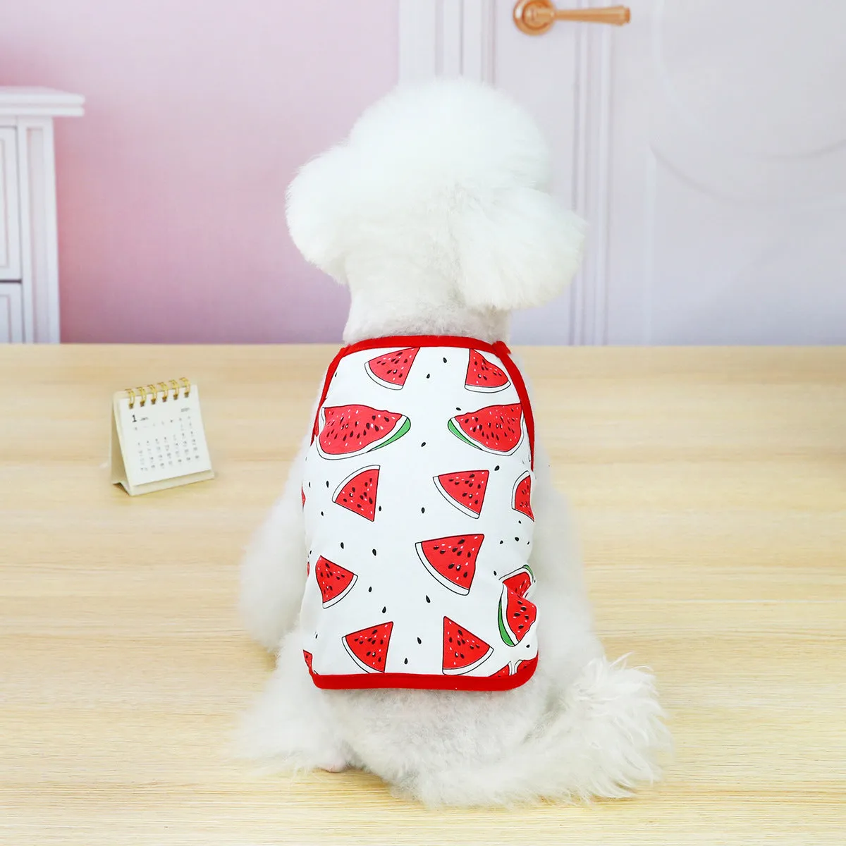 Fruit vest spring and summer pet clothing