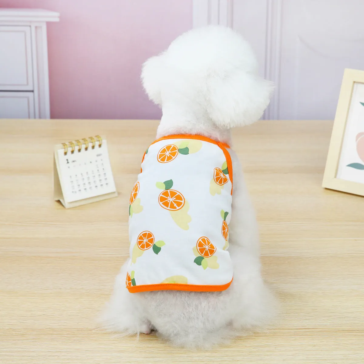 Fruit vest spring and summer pet clothing