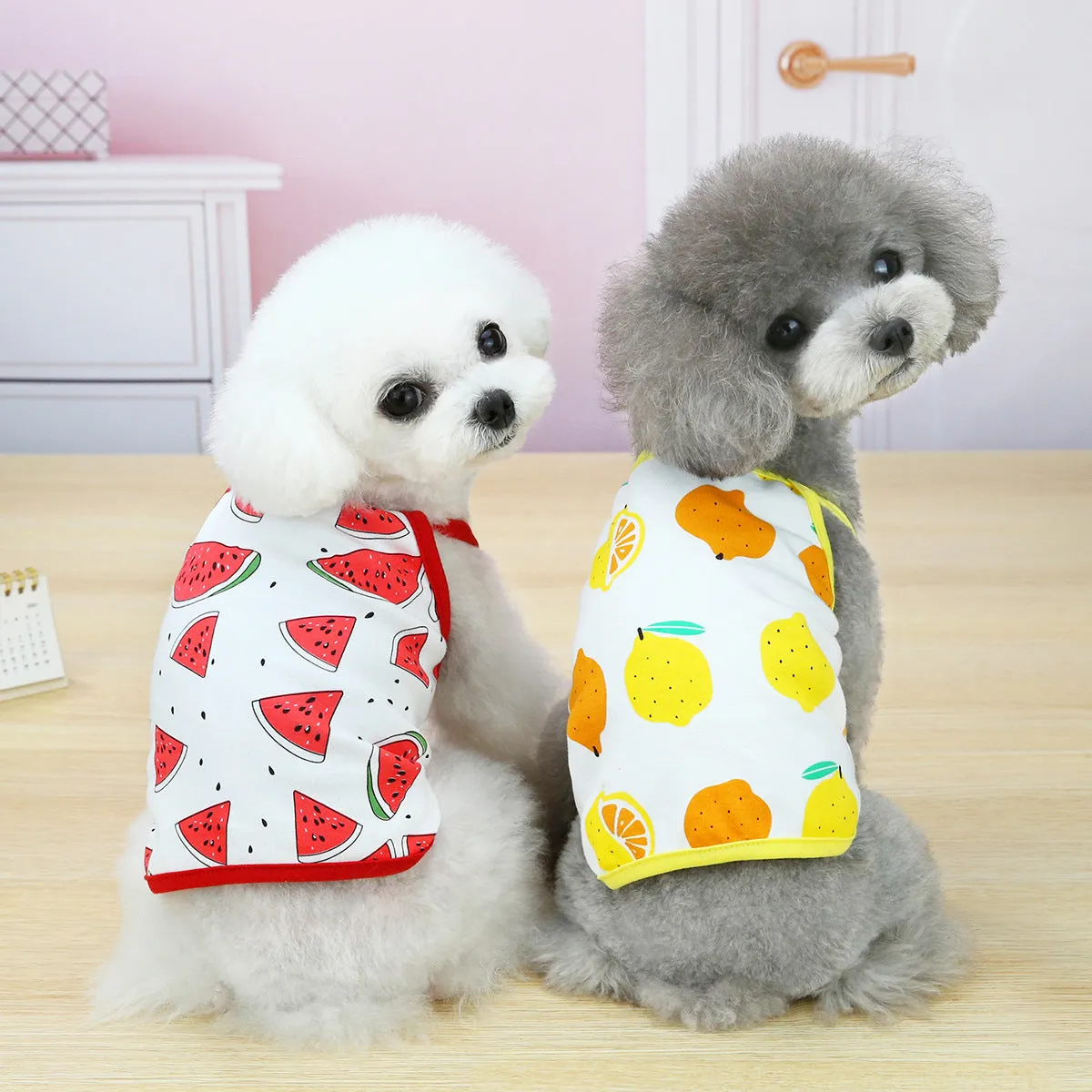 Fruit vest spring and summer pet clothing