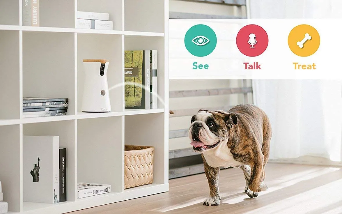 Furbo Dog Camera: Full HD Wifi Pet Camera with 2-Way-Audio, Treat Tossing, Night Vision and Barking Alerts, Designed for Dogs, Works with Amazon Alexa (As Seen On Ellen)