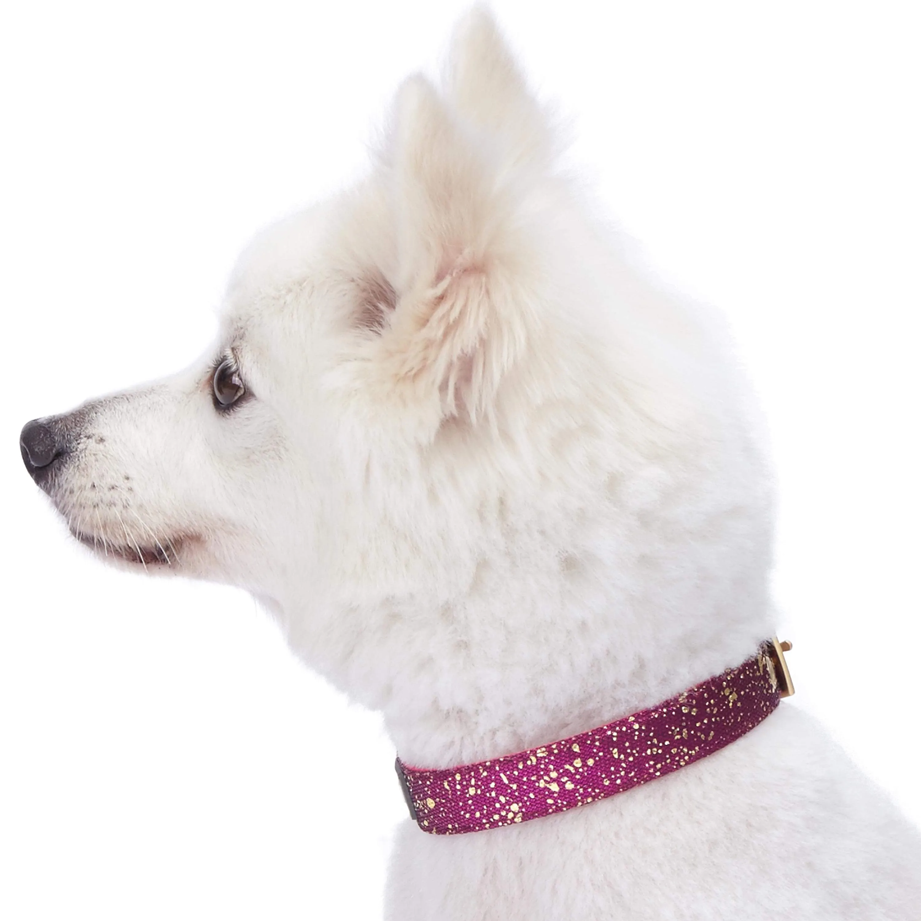 Glam Life Gold Stamping Lace Dog Collar