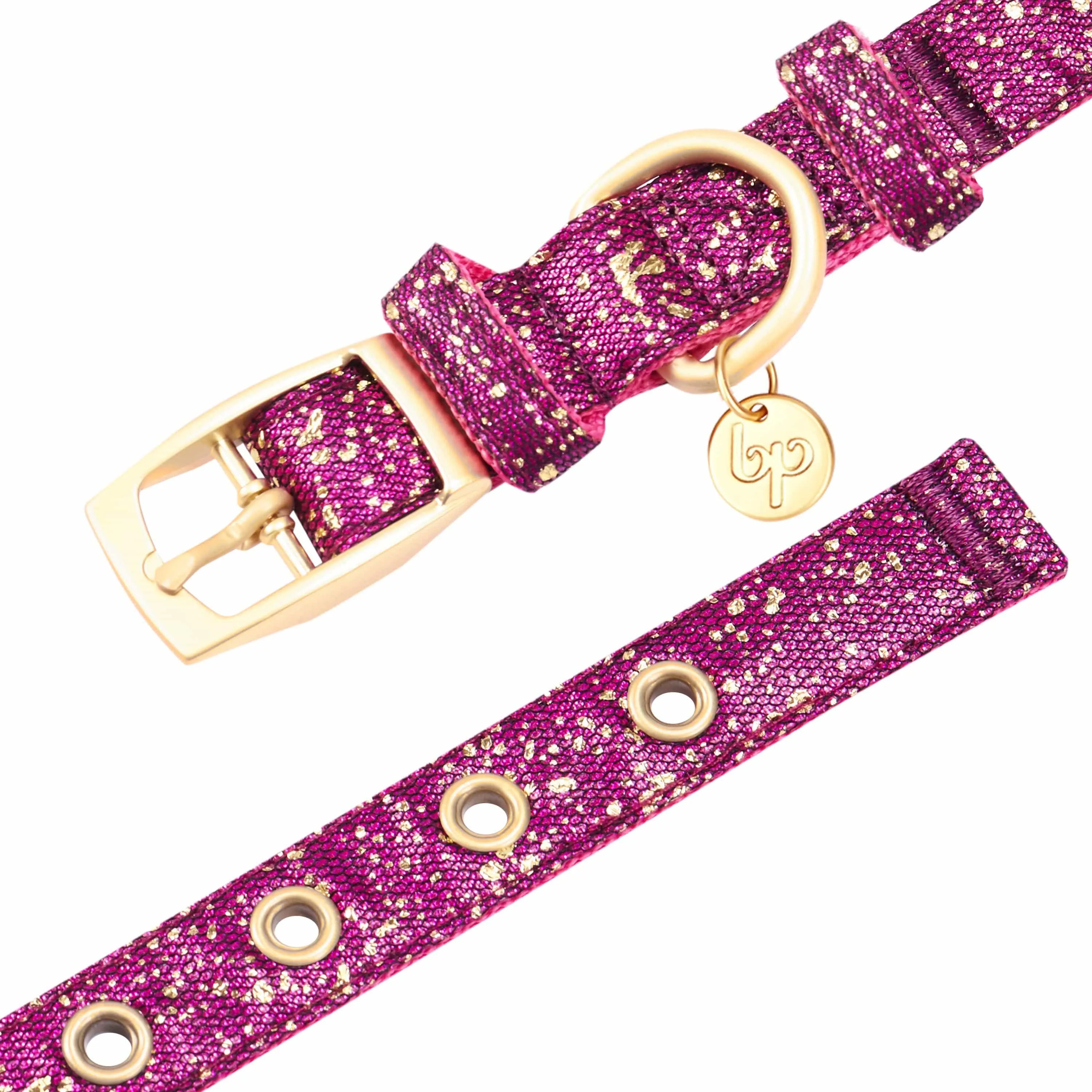 Glam Life Gold Stamping Lace Dog Collar