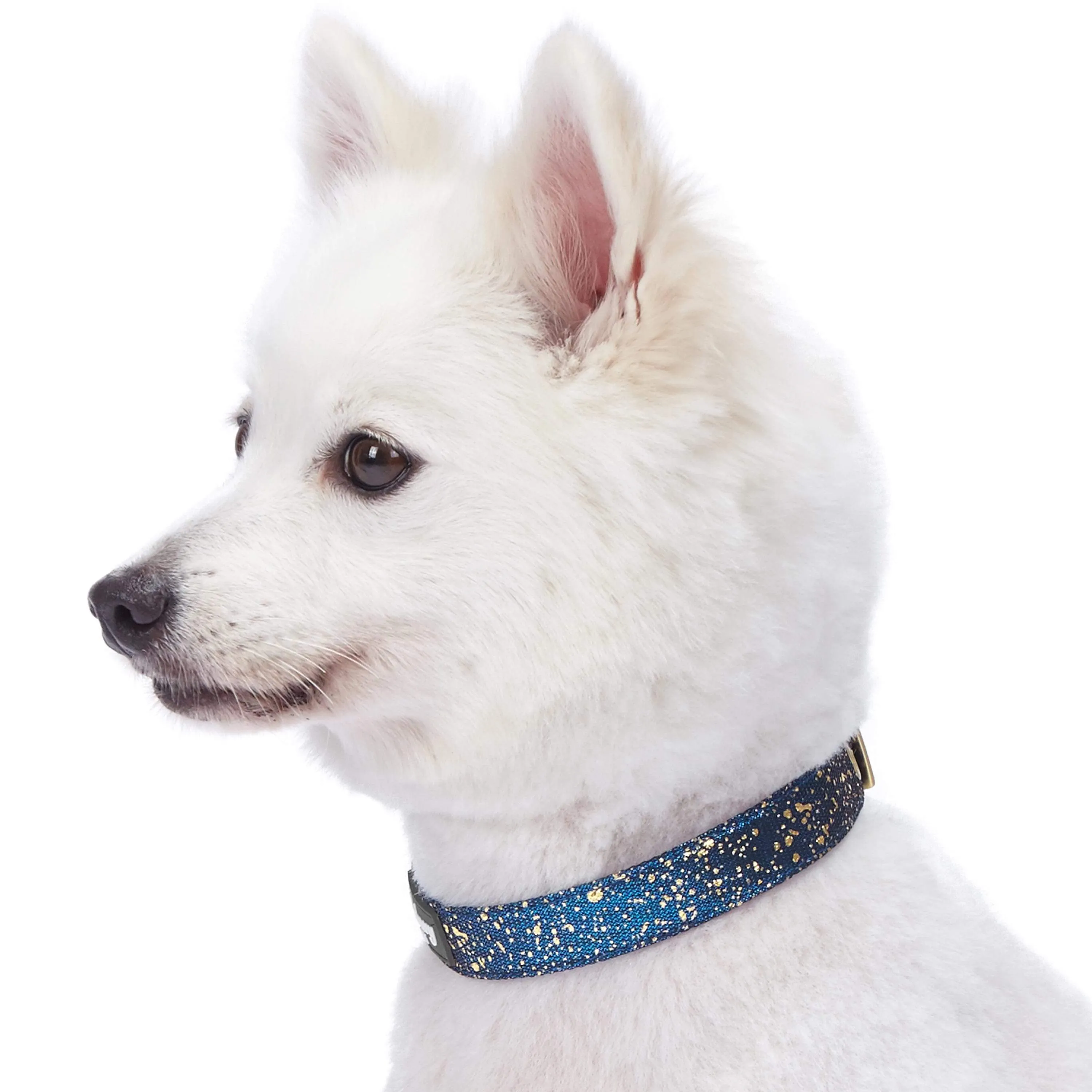 Glam Life Gold Stamping Lace Dog Collar