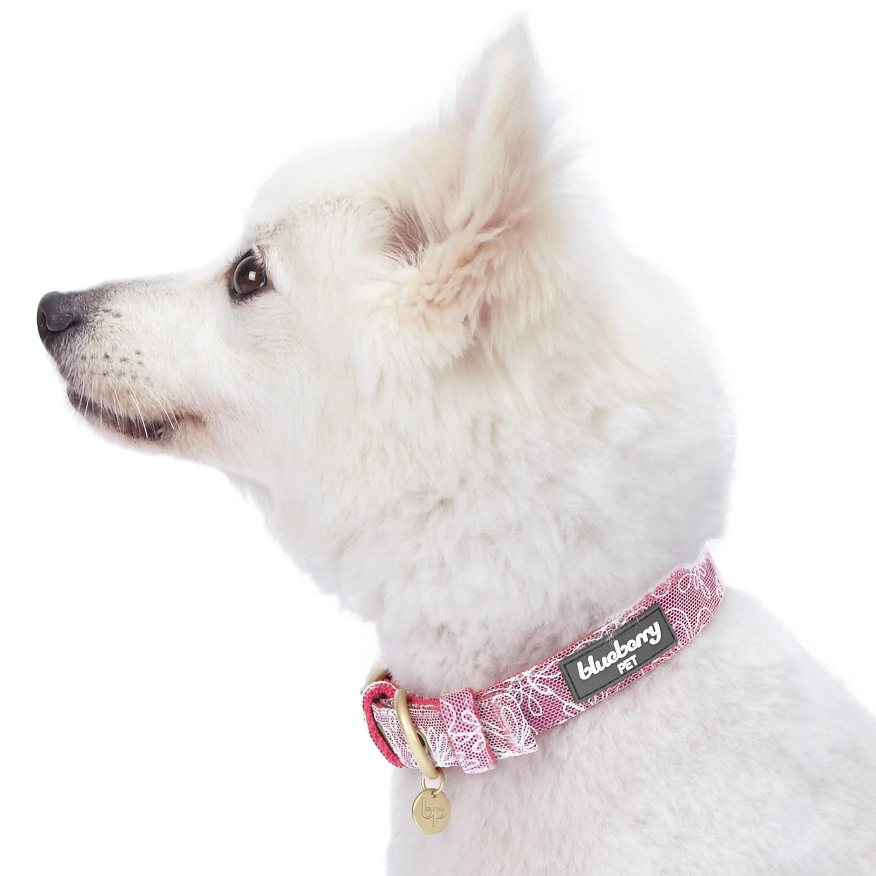 Glam Life Gold Stamping Lace Dog Collar