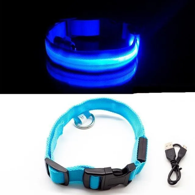 Glow in the Dark LED Dog Collars/Anti-Lost Avoid Accident Collar For Dogs