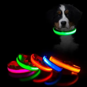 Glow in the Dark LED Dog Collars/Anti-Lost Avoid Accident Collar For Dogs