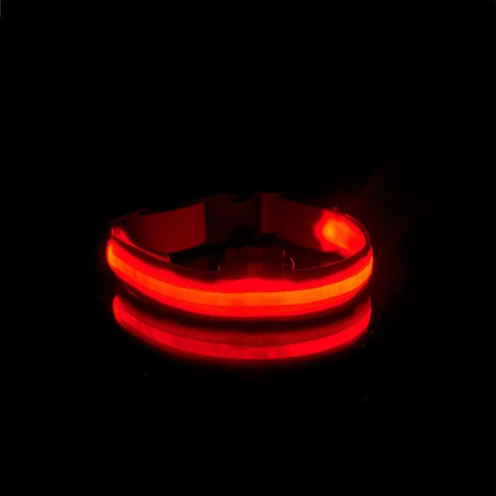 Glow in the Dark LED Dog Collars/Anti-Lost Avoid Accident Collar For Dogs