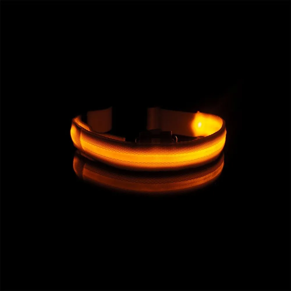 Glow in the Dark LED Dog Collars/Anti-Lost Avoid Accident Collar For Dogs