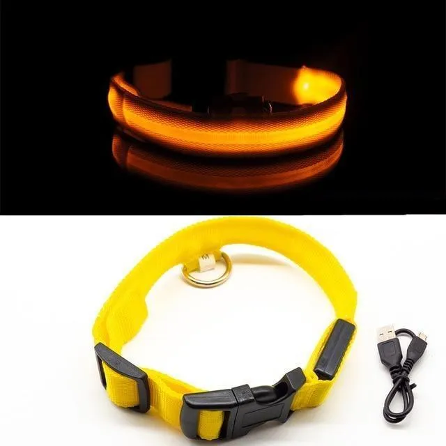 Glow in the Dark LED Dog Collars/Anti-Lost Avoid Accident Collar For Dogs