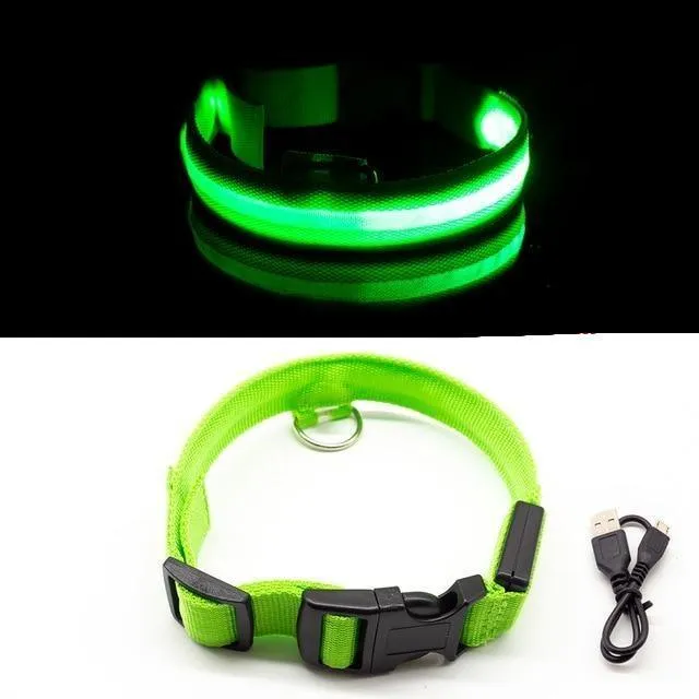 Glow in the Dark LED Dog Collars/Anti-Lost Avoid Accident Collar For Dogs