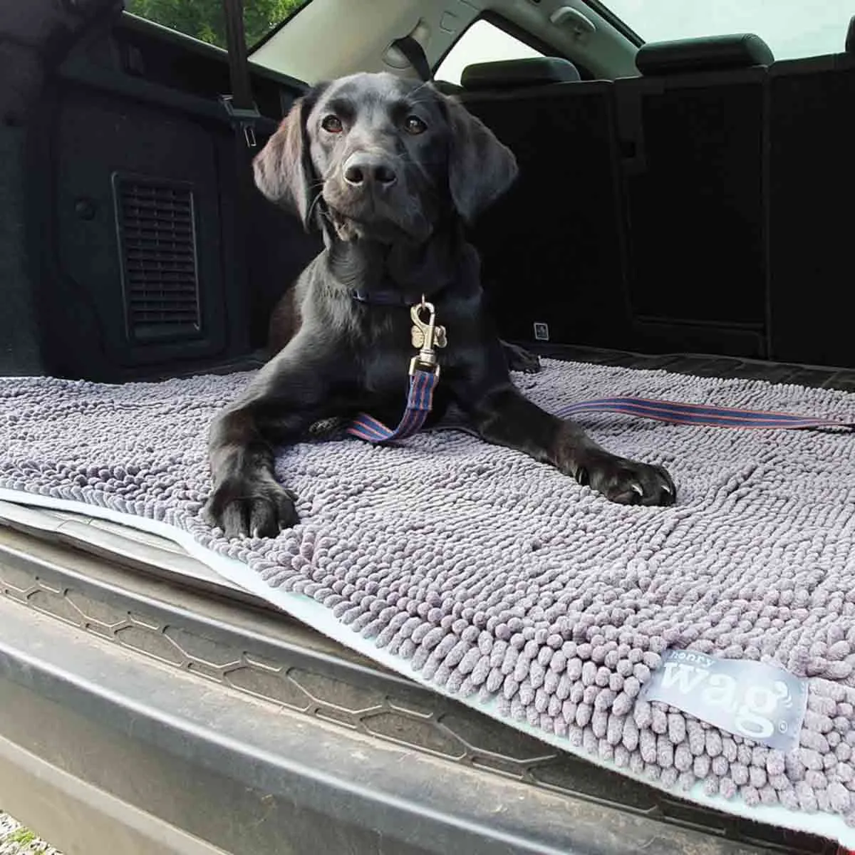 Henry Wag Microfibre Noodle Pet Mat