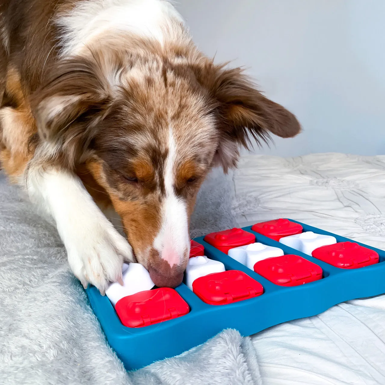 Interactive Toy - Puzzle Dog Brick Level 2