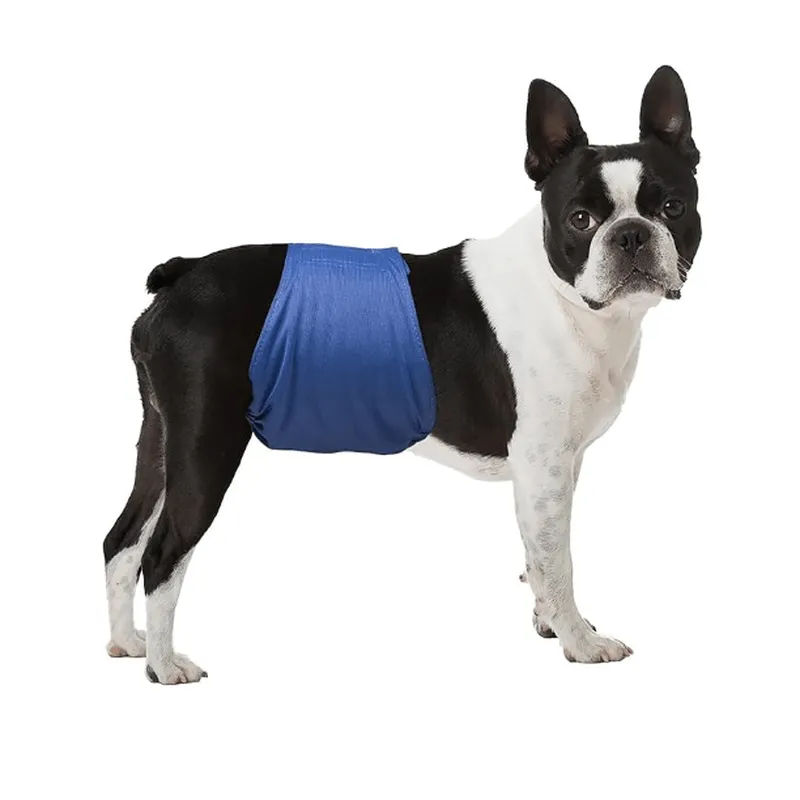 LeerKing Male Dog Diaper