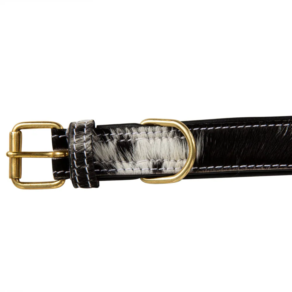 Monterey Hair-on Hide Dog Collar