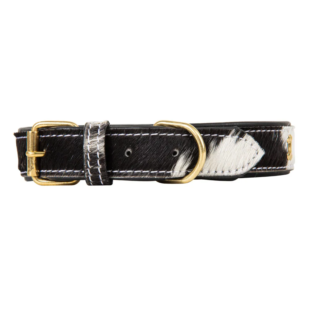 Monterey Hair-on Hide Dog Collar