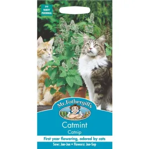 Mr Fothergill's Nepta Catnip Seeds