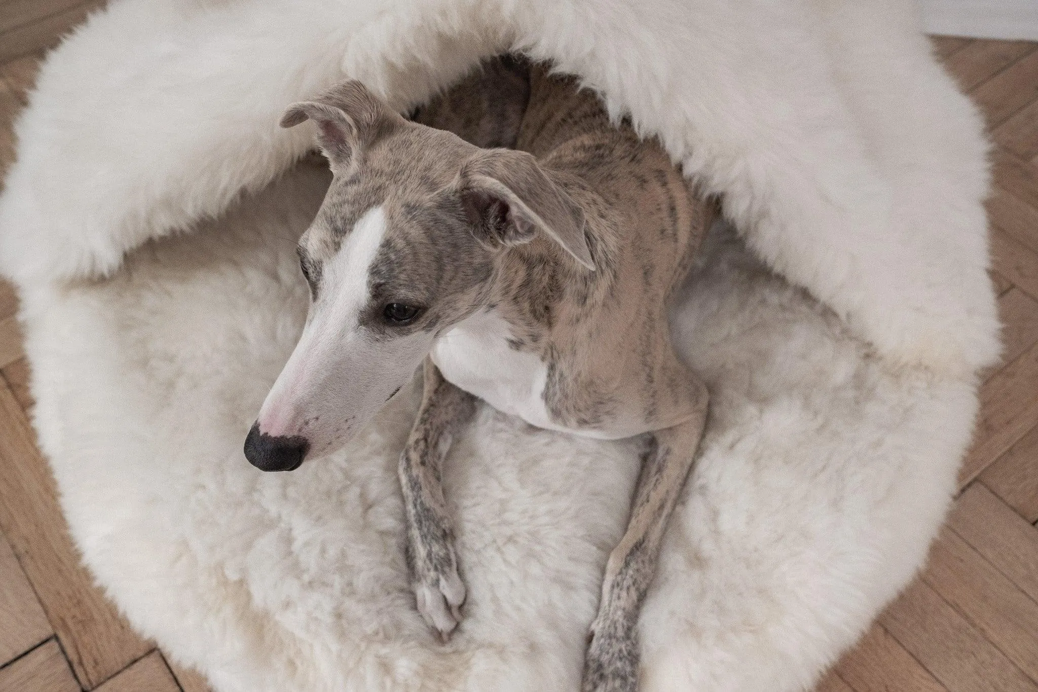 Natural Sheepskin Pet Cave - White