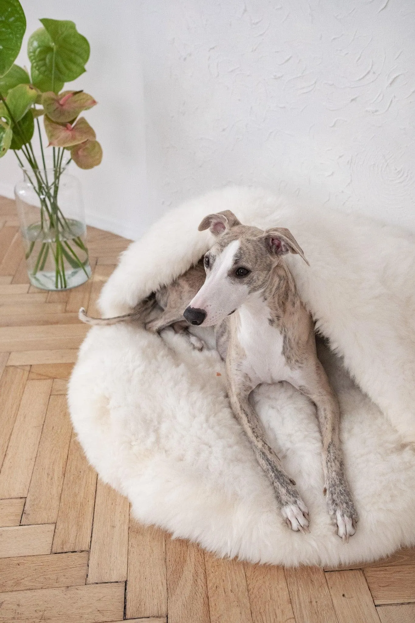 Natural Sheepskin Pet Cave - White