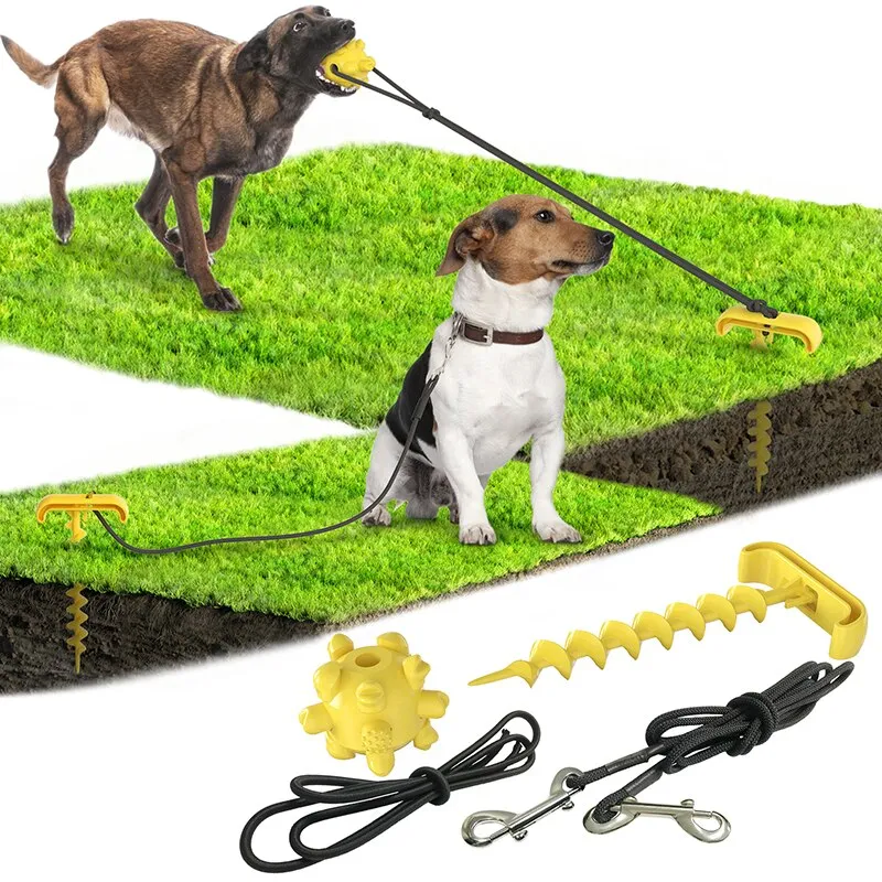 Outdoor tying dog pegs and pegs tying dog leash dog toy New pet products pet toys