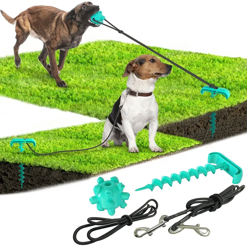 Outdoor tying dog pegs and pegs tying dog leash dog toy New pet products pet toys