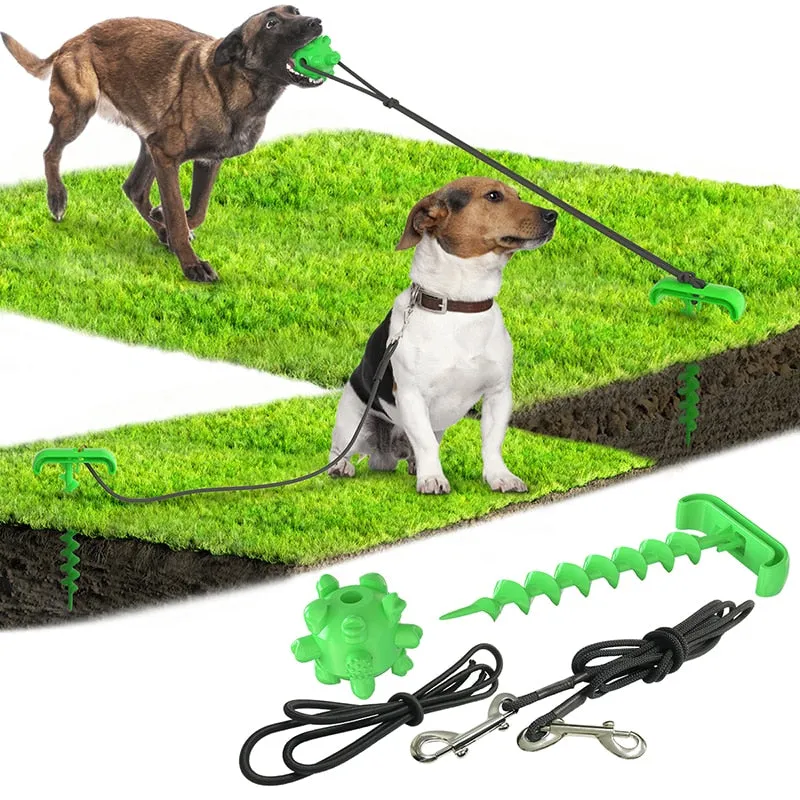 Outdoor tying dog pegs and pegs tying dog leash dog toy New pet products pet toys