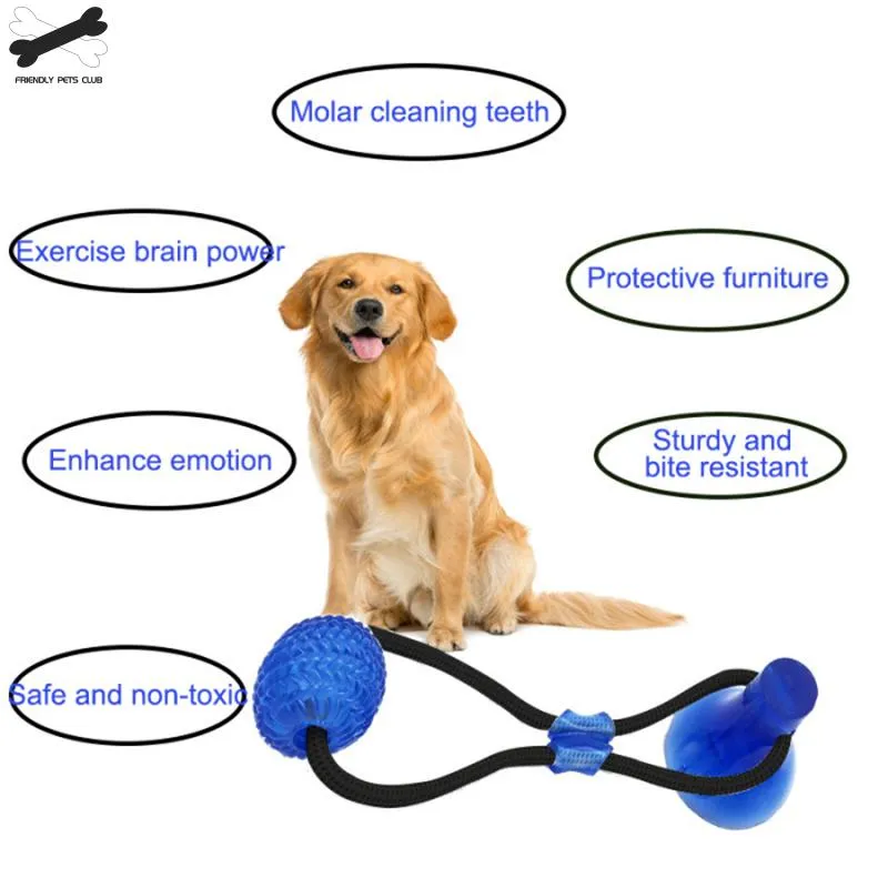 Pet Training Toys For Cats Dogs Interactive Suction Cup Push Ball Toys Elastic Ropes Pet Tooth Cleaning Chewing IQ  Exercise