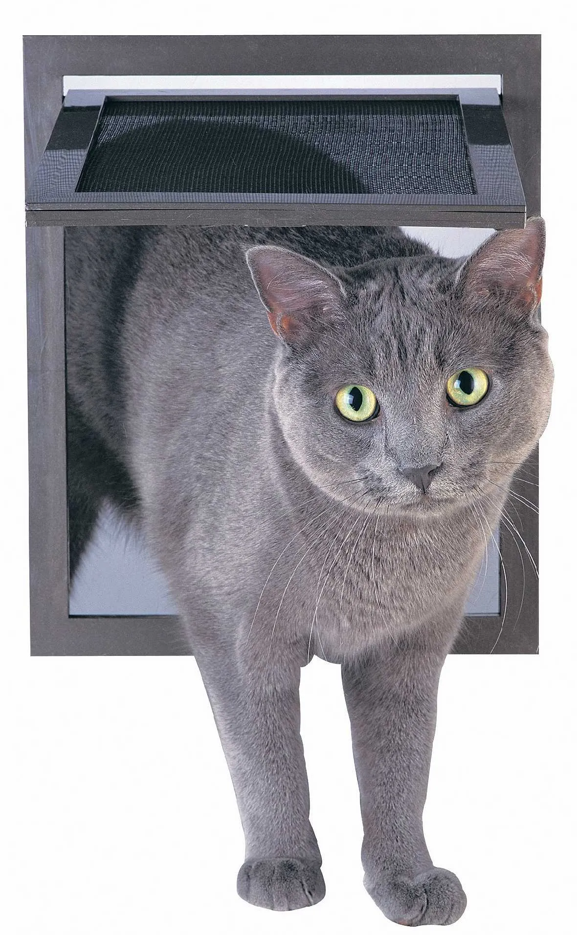 PetSafe Pet Screen Door