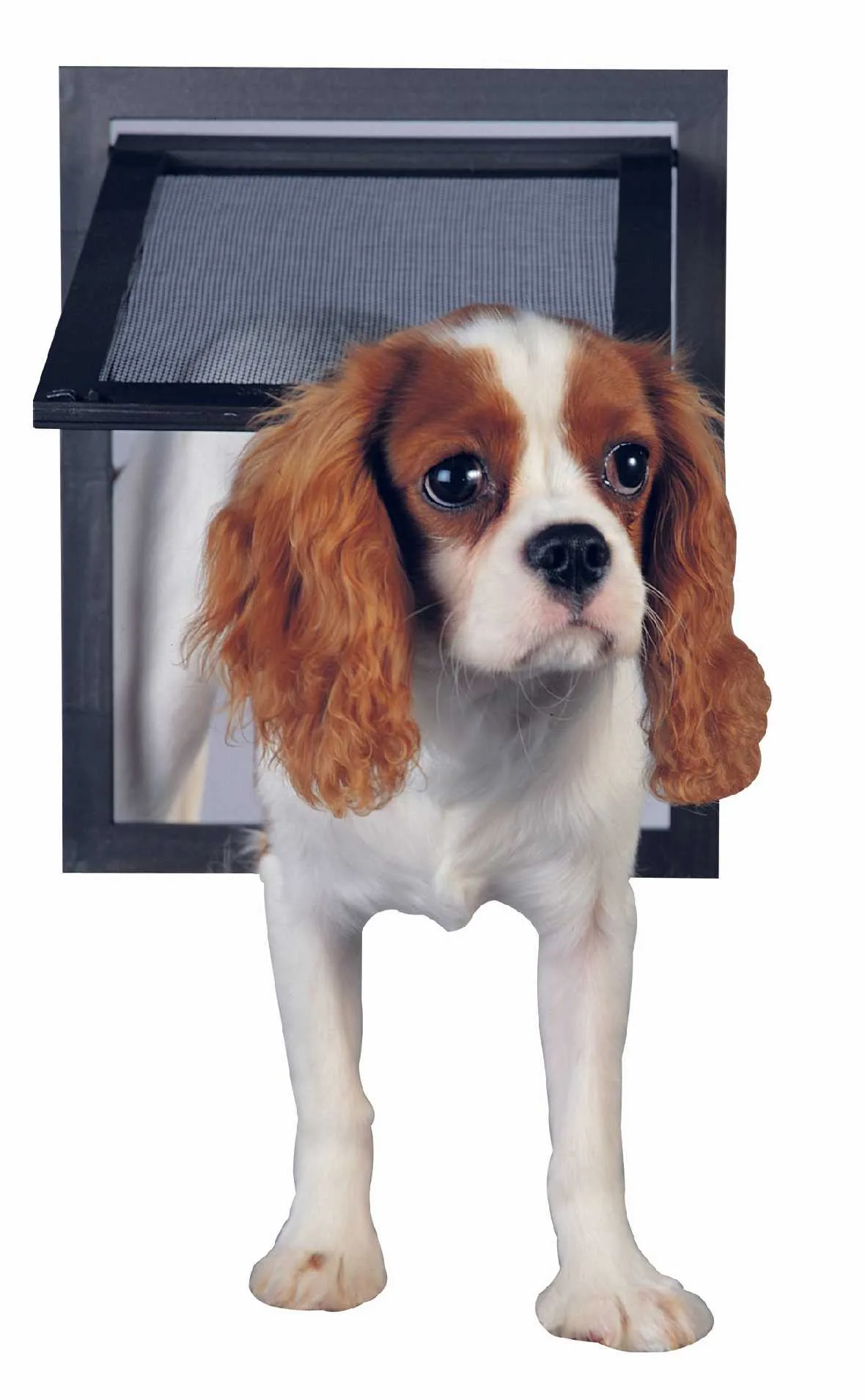 PetSafe Pet Screen Door