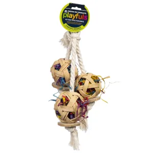 Prevue Pet Playfuls Cluster of Fun Bird Toy