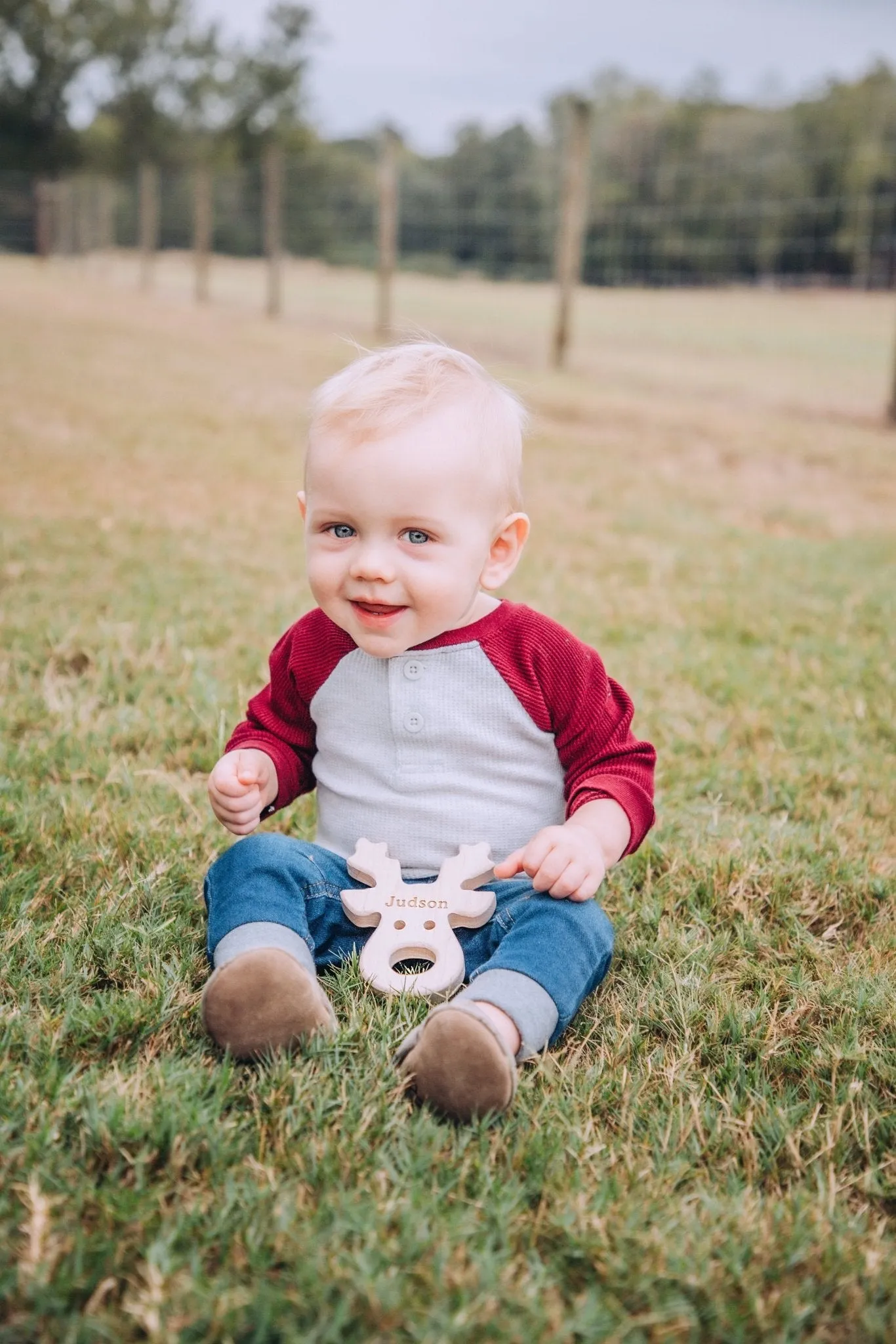 Reindeer Wood Grasping Toy