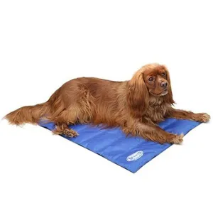 Scruffs 77cm Medium Cool Dog Mat