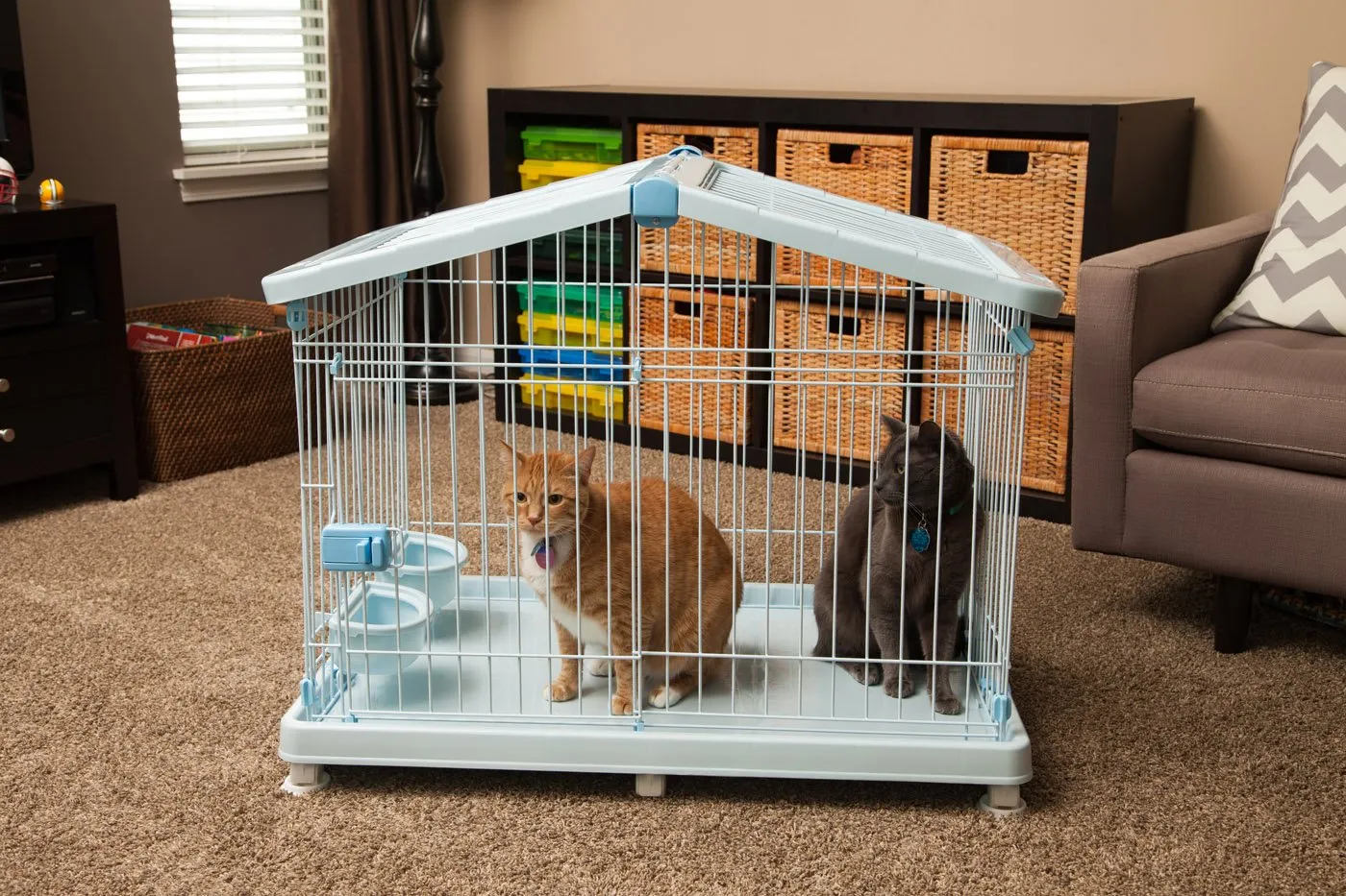 Small Wire Animal House