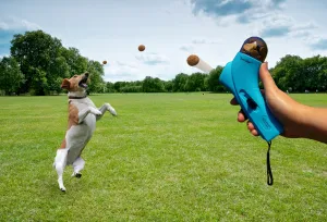 Snack Slinger Dog or Cat Treat Launcher